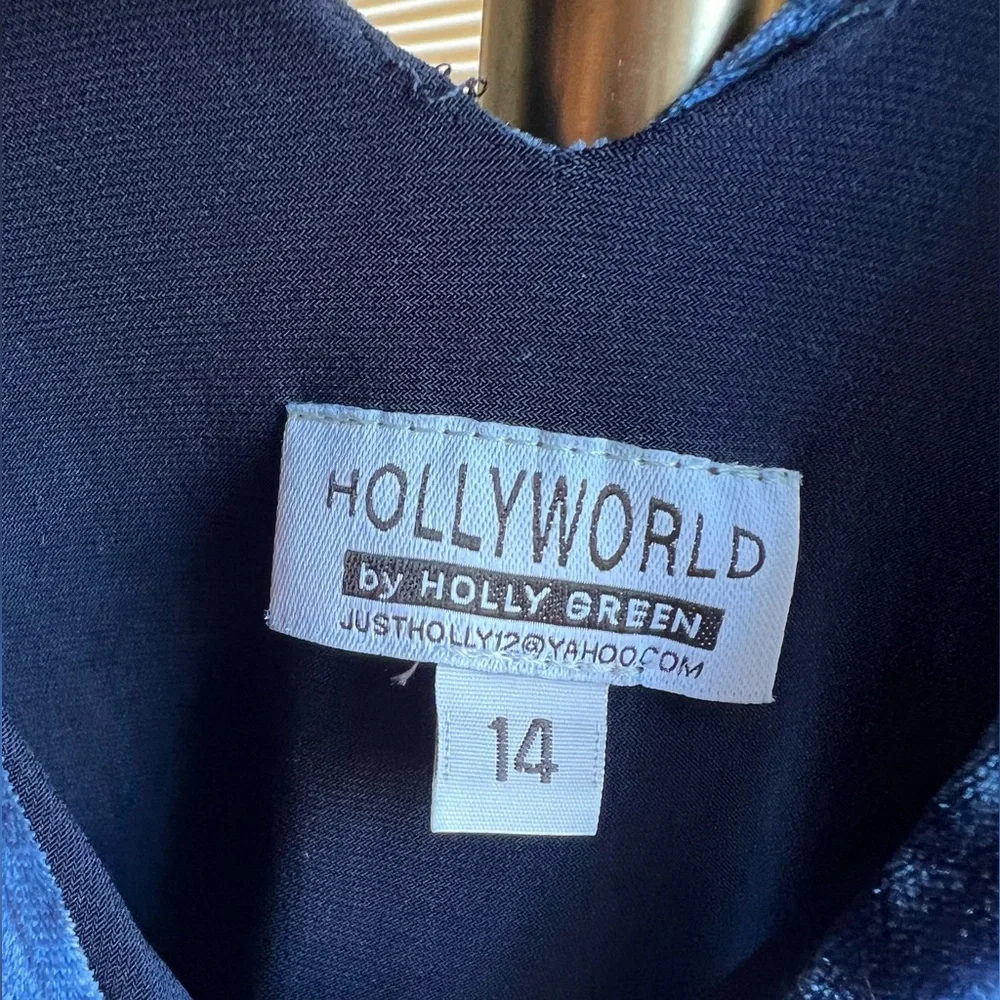 Hollyworld Crushed Velvet Dress | 14